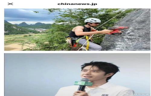 倪妮春游花间与玉兰合影美如画